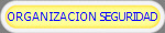 ORGANIZACION SEGURIDAD